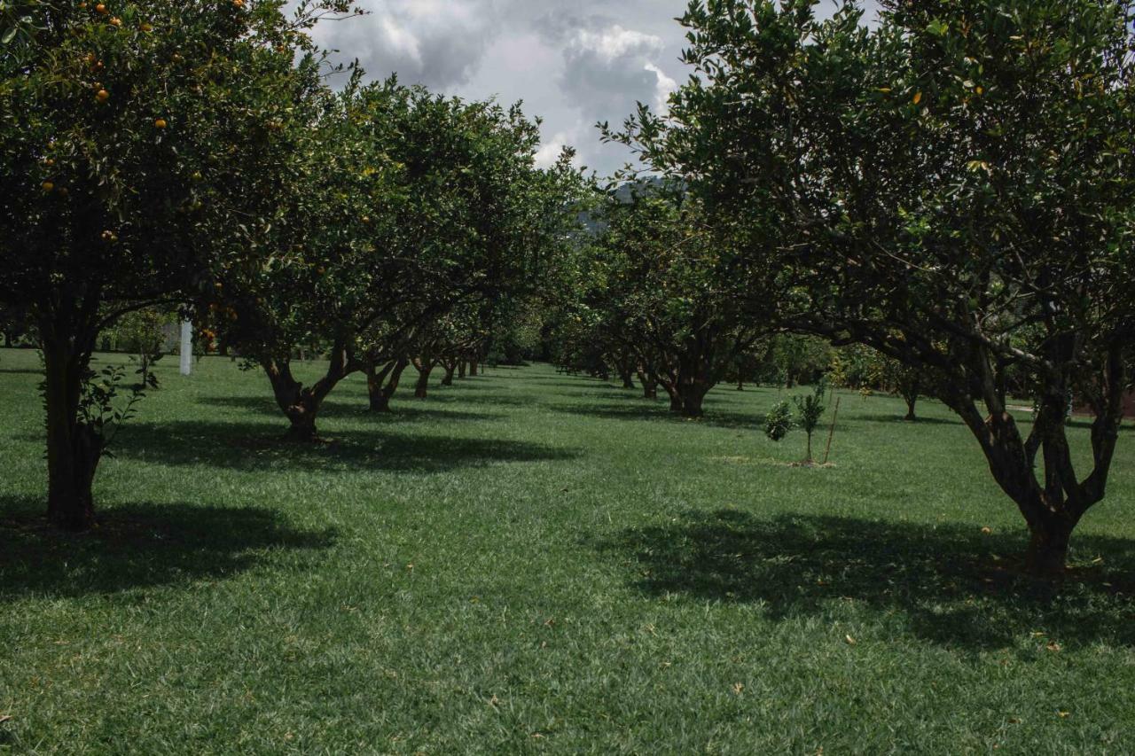 לה וירג'יניה Paraiso Hotel Campestre מראה חיצוני תמונה
